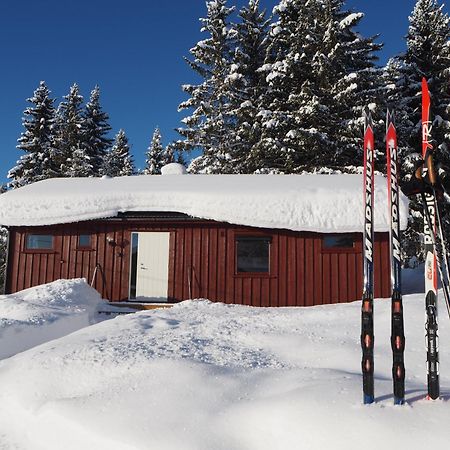 Cabin With Great View Close To Town And Ski Area Λιλεχάμερ Εξωτερικό φωτογραφία
