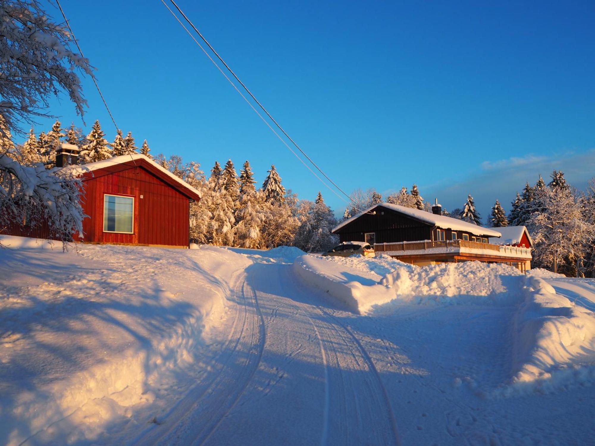 Cabin With Great View Close To Town And Ski Area Λιλεχάμερ Εξωτερικό φωτογραφία